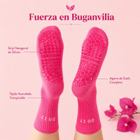 Buganvilia
